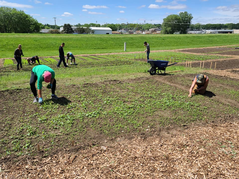 A group of people from the The Papillion Community Foundation working in the field